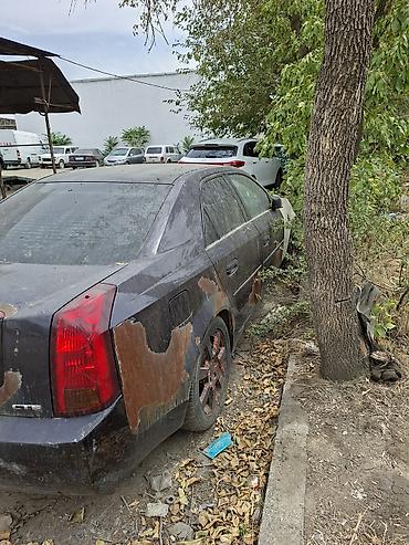 sprinter 4 4: Cadillac CTS: 2008 г., 2 л, Автомат, Бензин, Седан — 4