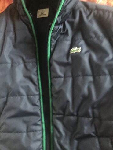 lacoste zimske jakne: Lacoste, Single-colored