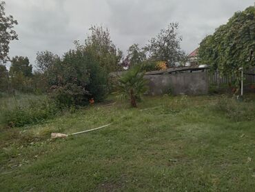 Həyət evləri və villaların satışı: Satılır: yaşayış evi və yanında fəaliyyət göstərən kiçik market binası — 8