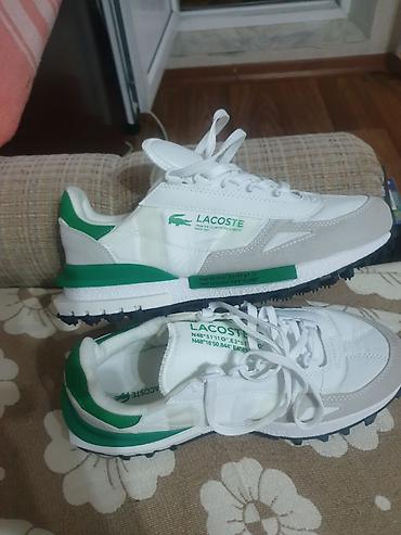 Мужские кроссовки, 42, Lacoste, Новый, цвет - Белый, Самовывоз
