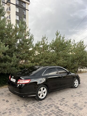 сколько стоит продать катализатор: Toyota Camry: 2009 г., 2.5 л, Автоматические, Бензин, Седан