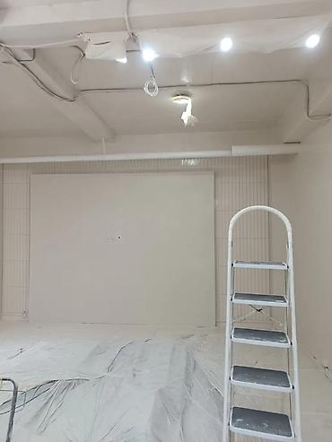 Покраска: Покраска стен, Покраска потолков, Покраска окон, На водной основе, Больше 6 лет опыта — 1