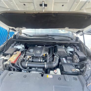 Lexus: Lexus NX: 2017 г., Кроссовер — 25