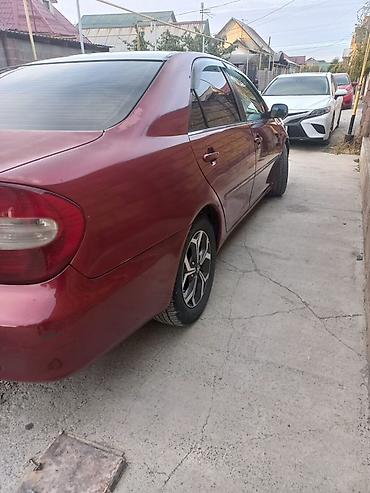 toyota echo 2000: Toyota Camry: 2002 г., 2.4 л, Автомат, Бензин, Седан — 4