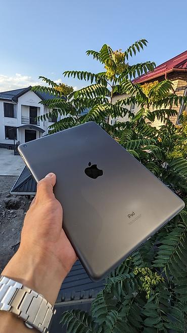 socket 1155: Планшет, Apple, память 64 ГБ, 9" - 10", Wi-Fi, Б/у, Классический цвет - Серый — 3