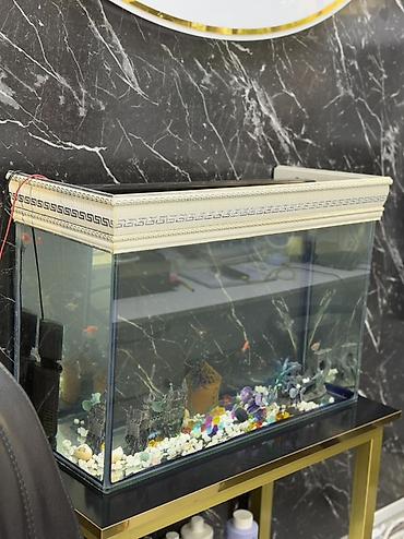 sani kecileri satisi: Dördbucaq akvarium, Boş, 70 l — 2