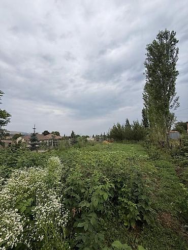 Продажа домов: 3 комнаты, 95 м², 15 соток, Беш-Кюнгей, Риэлтор — 3