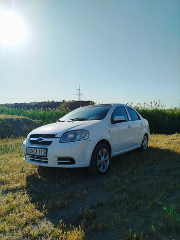 chevrolet niva azerbaycan: Chevrolet Aveo: 1.4 l | 2011 il | 274224 km Sedan