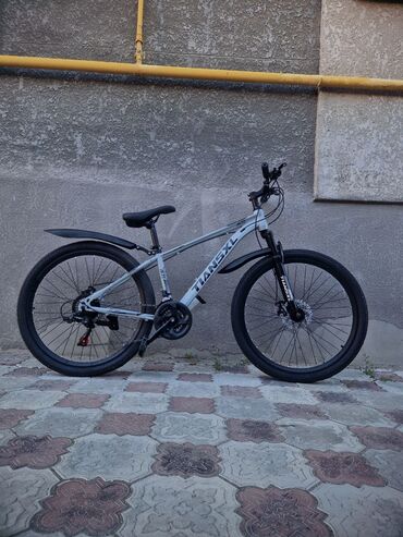 Городские велосипеды: Городской велосипед, Рама XXL (190 - 210 см) — 16