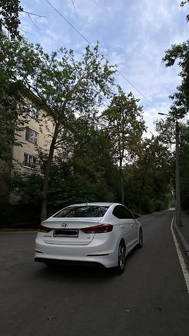 spark 2017: Hyundai Avante: 2018 г., 1.6 л, Автомат, Бензин, Седан — 4