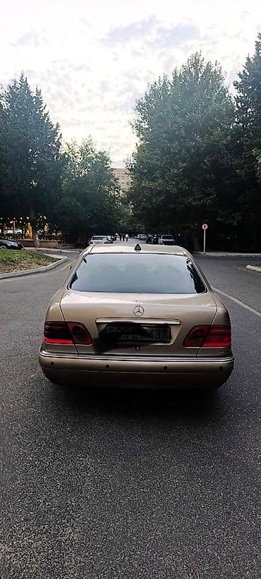 mers tursiy: Mercedes-Benz 220: 2.2 l | 2000 il Sedan — 7