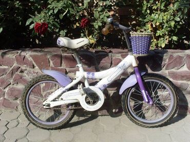 детский двухколесный велосипед: Детский велосипед, 2-колесный, 4 - 6 лет