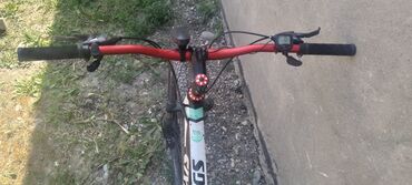 большая ваза для пальмы: Тоо велосипеди, Specialized, Велосипед алкагы XXL (190 - 210 см), Алюминий, Колдонулган