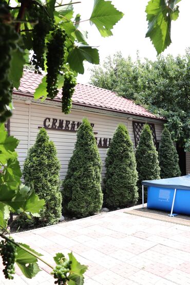 Бани, сауны, SPA: Баня, Сауна, Хамам | Пилинг, Бассейн, Массаж — 19