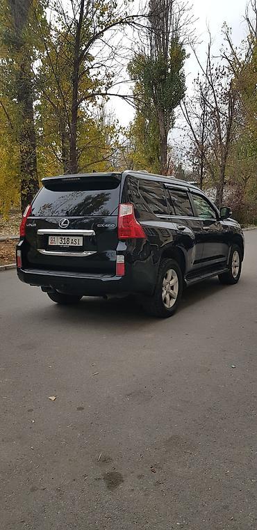Lexus: Lexus GX: 2010 г., 4.6 л, Автомат, Газ, Внедорожник — 6