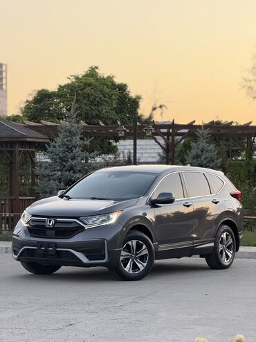 диск на мотоцикл: Honda CR-V: 2020 г., 1.5 л, Автомат, Бензин, Внедорожник