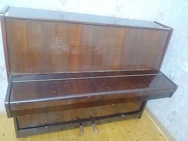 Pianolar: Piano, Belarus, Akustik, İşlənmiş — 1