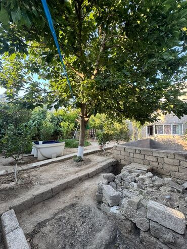 Həyət evləri və villaların satışı: 4 otaqlı, 220 kv. m, Kredit yoxdur, Orta təmir -da lalafo.az — 25 Həyət evləri və villaların satışı: 4 otaqlı, 220 kv. m, Kredit yoxdur, Orta təmir — 25