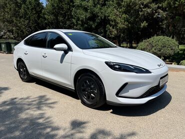 BYD: Salam, avtomobil taksi buraxilishi var icareye verilir etrafli — 8