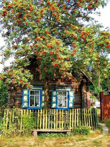 квартира семеный: 1 комната, Собственник, С мебелью полностью