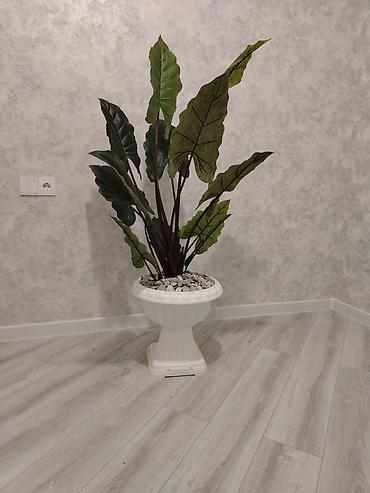 bakı tekstil fabriki: Satilir deyerindən cox ucuzz her biri manqal qarisiq 170azn — 3