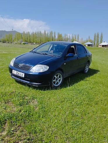 стекол: Toyota Corolla: 2002 г., 1.6 л, Механика, Бензин, Седан — 1