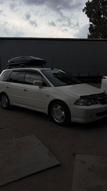 odyssey absolute: Honda Odyssey: 2003 г., 3 л, Автомат, Бензин, Минивэн — 2