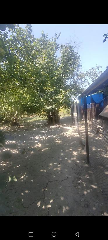 Torpaq sahələrinin satışı: 11 sot, Tikinti, Barter mümkündür, Kupça (Çıxarış) — 16