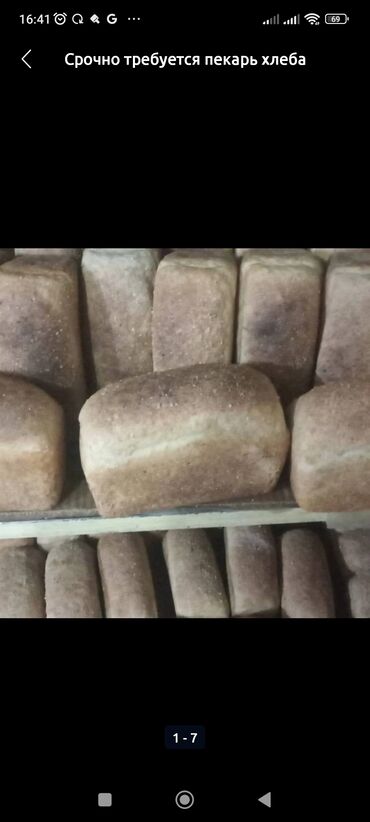 продаю тай: Продаю хлеб свежий мягкий отличное качество для откорма скотины