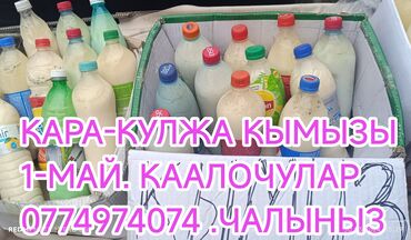 Молочные продукты и яйца: Кара кулжа кымызы бар 1-май
баасы 1лт