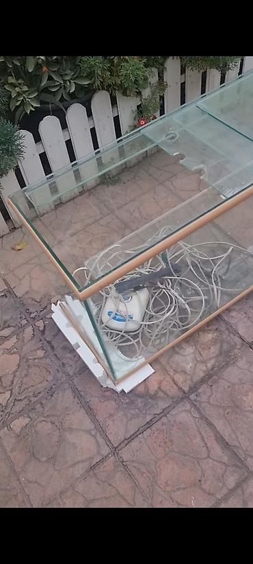 xani baliq: Şüşə akvarium komplekti - Material: qalın şüşə panellər, kənarlarda — 1