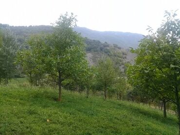 Torpaq sahələrinin satışı: 16 sot, Tikinti, Mülkiyyətçi, Kupça (Çıxarış) — 5