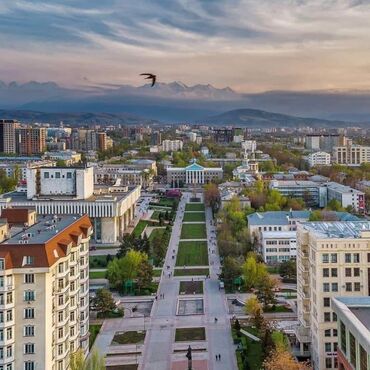 дом кантенер: 50 м², Студия