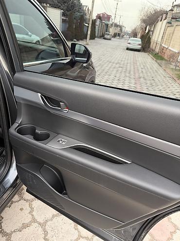 Hyundai: Hyundai Palisade: 2019 г., 2.2 л, Автомат, Дизель, Кроссовер — 18