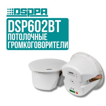 Рации и диктофоны: Потолочные колонки DSPPA DSP602BT Эта потолочная колонка с Bluetooth