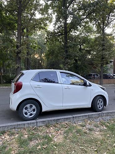 byd d1: Kia Morning: 2019 г., 1 л, Автомат, Бензин, Хэтчбэк — 2