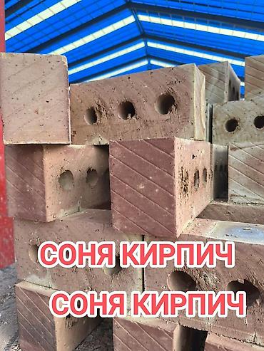 стекол: Пустотелый, дырчатый, Жженый кирпич, Полублок, 250×120×90 — 1