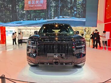 подсветка глушителя: Zeekr 9X: | 2024 г. Кроссовер
