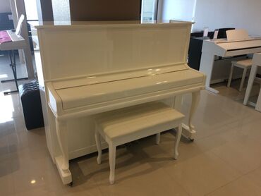 piano haqqında məlumat: Piano, Yeni, Pulsuz çatdırılma