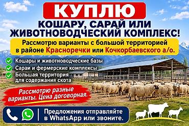 Куплю: кошару, сарай или животноводческий комплекс. Предпочтительно в