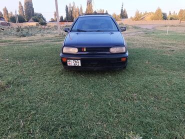Volkswagen: Volkswagen Golf: 1994 г., 1.8 л, Механика, Бензин, Универсал