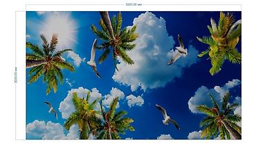 Натяжной потолок: Натяжной потолок Глянцевое, Матовое, 3D потолки Гарантия, Бесплатная консультация, Бесплатный замер — 15