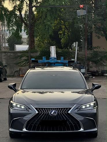 установка люка на авто: Lexus ES: 2022 г., 2.5 л, Вариатор, Гибрид, Седан — 1