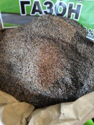 купить искусственный газон в рулонах: Газонная травосмесь — семена для посева - Тип: универсальная смесь