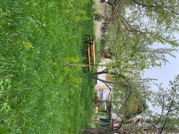 Продажа домов: Дача, 1 м², 1 комната, Собственник, Косметический ремонт — 4