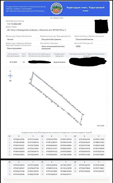 обмен валюты: 250 соток, Для бизнеса — 3