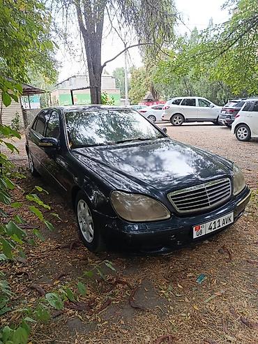 кабан 140: Mercedes-Benz S-Class: 2001 г., 5 л, Автомат, Бензин, Седан — 1