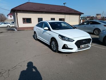 нонда саната: Hyundai Sonata: 2019 г., 2 л, Автомат, Газ, Седан