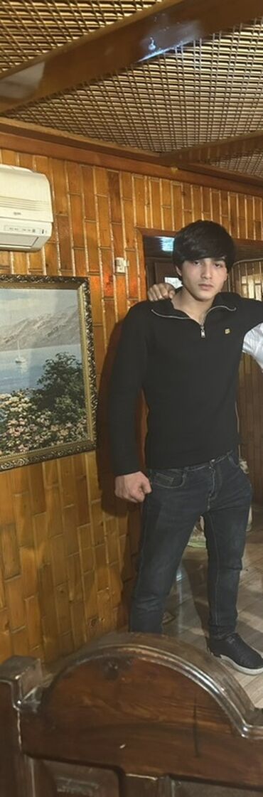 bakida pitbul satishi: Salam təcili satılır barterədə gedərəm küçə iti deyil dil başa düşür