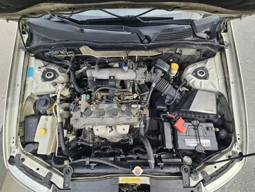 Nissan: Nissan Sunny: 1.6 l | 2010 il Sedan — 13